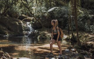 tudo sobre visconde de maua