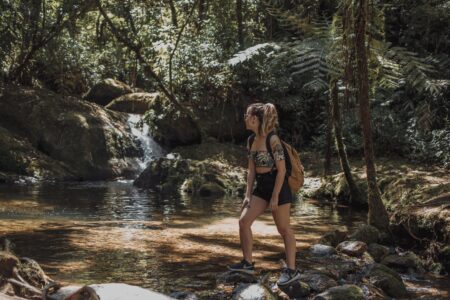 tudo sobre visconde de maua
