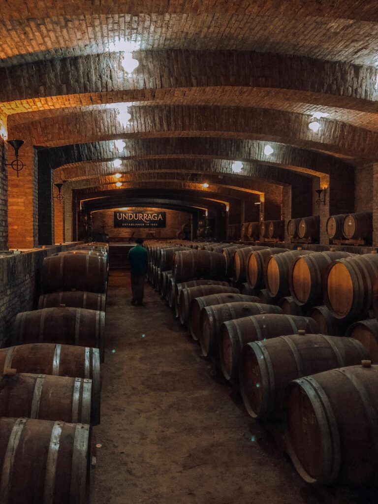 vinicola undurraga santiago