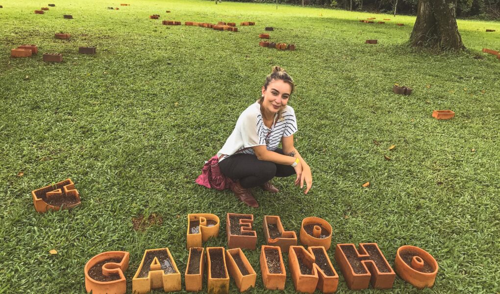 dicas inhotim o que fazer